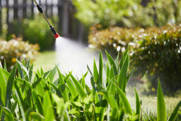 24/7 Emergency Wasp Removal experts in Norco, LA