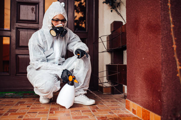 Reliable Wasp Removal contractor in Norco, LA by Show Me Pest Control